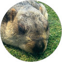 しおのり profile picture